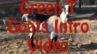 Green T Goats Intro