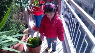 Meryem çiçek suladi çilek koparıp yedi.meryem watwred flowers and picked strawberries and ate them