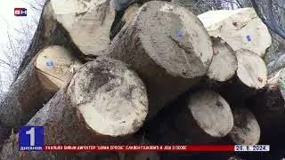 Uhapšen bivši direktor "Šuma RS" i još tri osobe