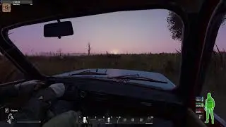 dayz