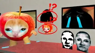 Sad Apple Cat And Sad Munci Want Me To Save Their Babies