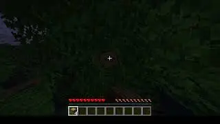 playing on a minecraft anarchy server