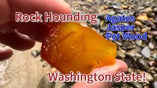 Rock Hounding My Favorite Creek After The Floods!! -Washington State