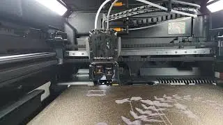 H2D Ams pro vs Ams