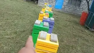 Сила-Сила-Сила!!!!