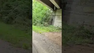 Fun ride on the trail- crossing the bridges