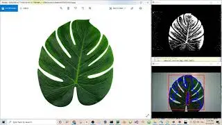 Auto Object Segmentation in OpenCV