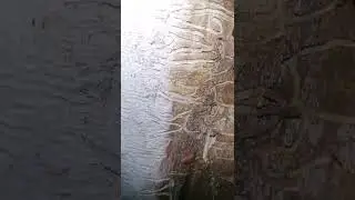 Купание в речке зимой в ледяной воде зимой 