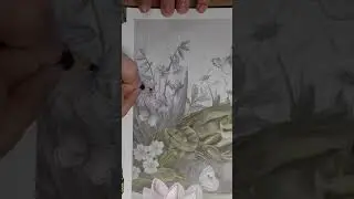 Moving along coloring the flowers and background in grayscale with Crayola pencils.  Pt. 3 of 3