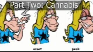 How Alcohol and Drugs Effect The Hippocampus