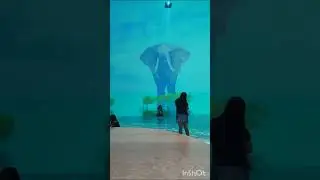 art in the island