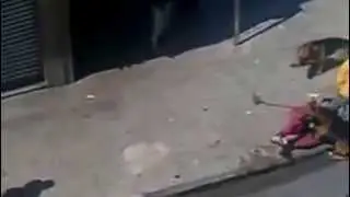 Не надо было бросать камень в собаку