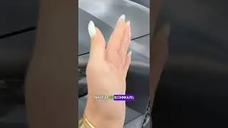 Вы б на месте котиков сделали бы так? 