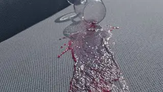 When Life Gets Messy, Get Luna