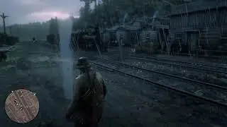 Beautiful rainy day [Red Dead Redemption 2]