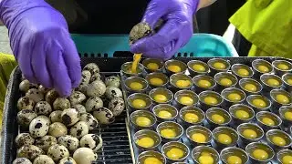 $1 Street Food Quail Eggs