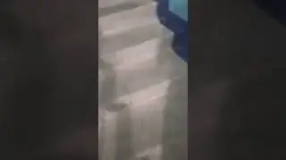 спрутель уже не тот с видео мне помогал RAVE x Griffin