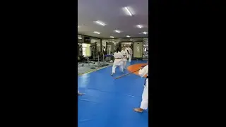 Айкидо ёсинкан для детей #айкидо #дети #кенсинкан