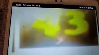 Exotic Number Creatures 55