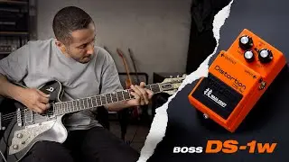Boss DS-1w | Duda Andrade