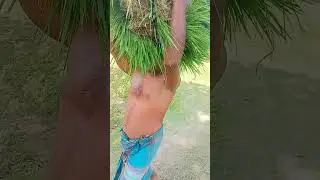 কৃষক চায় ভাত জাতীয় সংগীত কবি না