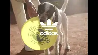 adidas Ozweego - Time for a throwback.