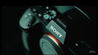 ¿Qué cámara comprar para empezar en la fotografia?