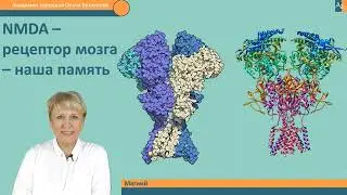 Корал Магний О  Бутакова