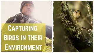 Capturing Birds in their Environment - Bird Photography Tips & Tricks
