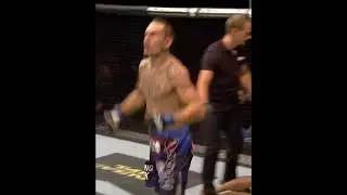 Most vicious UFC finish