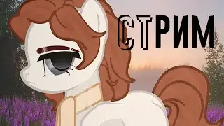 Пробная трансляция