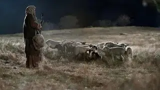 Shepherds Keeping Watch