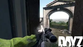 Unique Moments 5 - DayZ