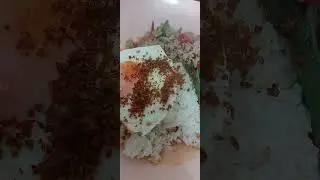 Thai Food #thailifestyle #คนไทยในต่างแดน #เด็กไทยในต่างแดน #คนไทยไกลบ้าน #คนไทยในซิดนีย์