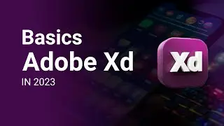 Basics of Adobe XD in 2023