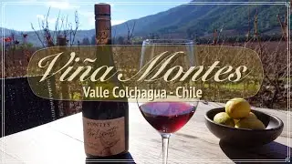 Hermoso tour a Viña Montes y visita al restaurant Fuegos de Apalta Francis Mallmann - Chile