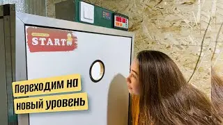 Открываем птичий сезон с новым инкубатором Start up