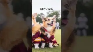 Rip Olivia 😞🕊️
