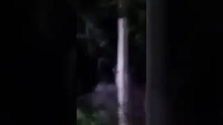 Сняли призрака тёмной лощины 