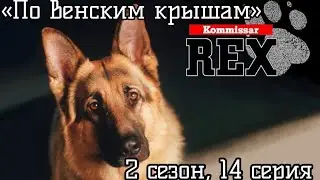 Комиссар Рекс, 2 сезон, 14 серия «По венским крышам»