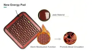 High Potential Therapy (HPT)