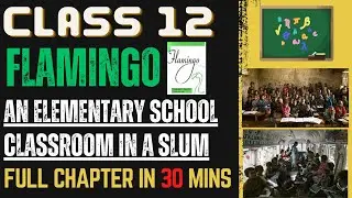 An Elementary School Classroom In a Slum | Class 12 English | Flamingo | Explanation in Hindi