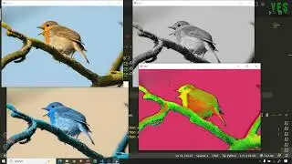 Convert to Color Spaces | OpenCV-Python Computer Vision | Malayalam Tutorial | Part-9