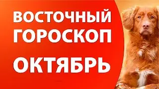 Восточный гороскоп на Октябрь. Астролог Ольга Морозова