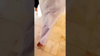 سائیں نجیب سلطان