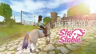 STAR STABLE FOALS | WELCOME HOME SUNPRINCESS