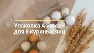 Упаковка Asintez для 6 куриных яиц | SHKOLHOZ