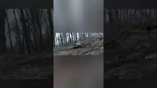 spring offroad