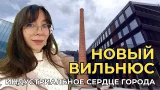 YOU'VE NEVER SEEN Vilnius LIKE THIS! Naujamiestis: Money, Power and Beer