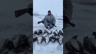 Гусь ТРОНУЛСЯ ЗИМА НЕ УХОДИТ